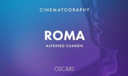 91届奥斯卡直播平台,直播平台精彩呈现